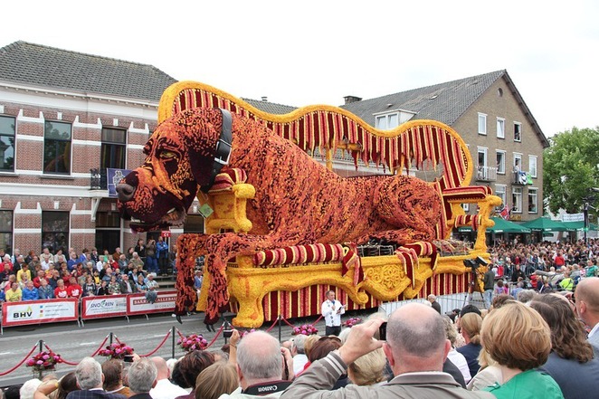 Bloemencorso-Zundert-2013-le-hoi-hoa-lon-nhat-the-gioi-o-Ha-Lan